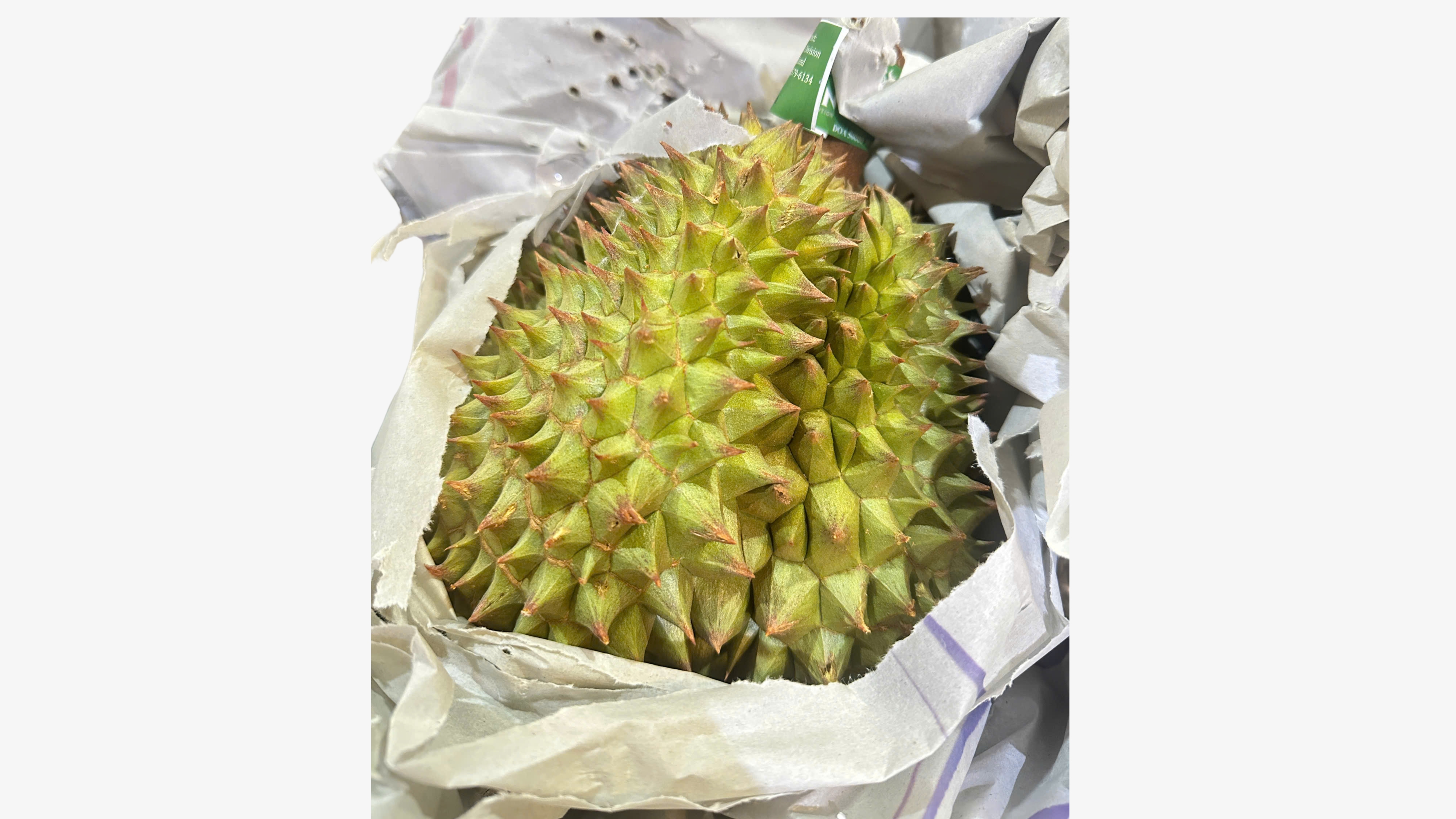 Sau Rieng Tuoi * Monthong Fresh Thailand